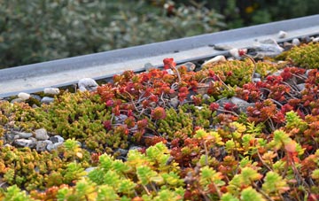 the cost of Lenham Heath green roof installation