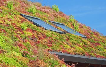 Lenham Heath living roof systems