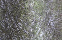 Lenham Heath fibreglass roof work